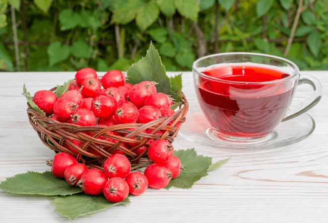 Ένα αφέψημα του Hawthorn